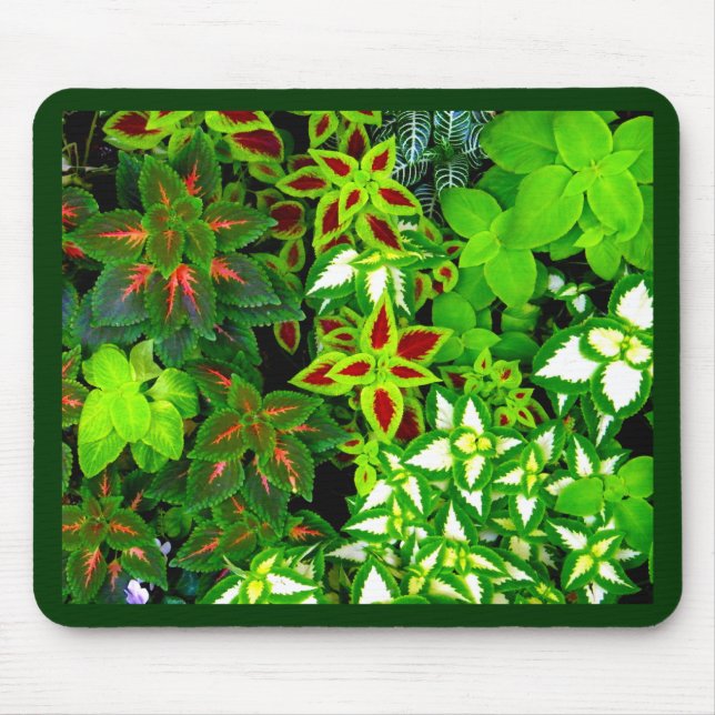 Alfombrilla De Ratón Earth Lover_ (Frente)