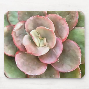 Alfombrilla De Ratón Echeveria Cactus Suculento Pintura Acrílica