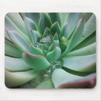 Alfombrilla De Ratón Echeveria "Tippy