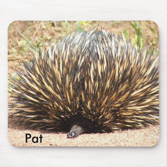 Alfombrilla De Ratón echidna_01, Pat (Frente)