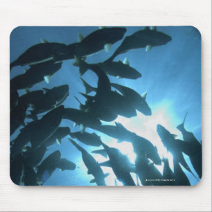 Alfombrilla De Ratón Ecuador, archipiélago de las Islas Galápagos, is