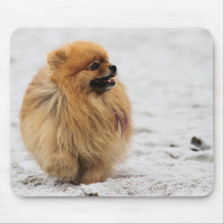 Alfombrilla De Ratón Edgrrrr #3 - Pomeranian