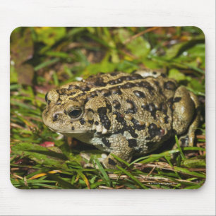 Alfombrilla De Ratón edmonton, alberta, canadá 2