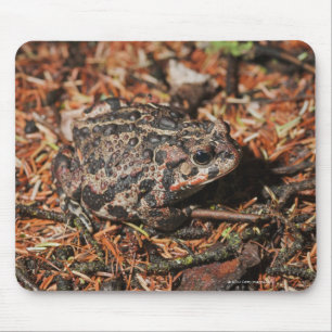 Alfombrilla De Ratón Edmonton, Alberta, Canadá 3