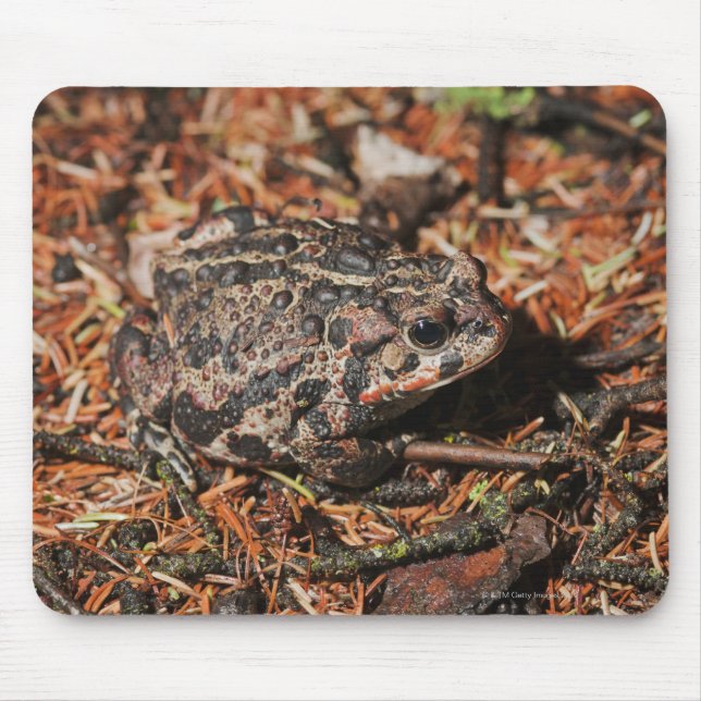 Alfombrilla De Ratón edmonton, alberta, canadá 3 (Frente)