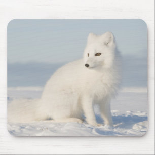 Alfombrilla De Ratón EE. UU., Alaska, 1005 Llanura costera del Ártico 5