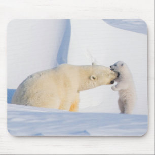 Alfombrilla De Ratón EE. UU., Alaska, North Slope Osos polares