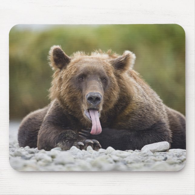 Alfombrilla De Ratón EE.UU., Alaska, Parque Nacional Katmai, Bahía Kuka (Frente)