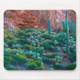 Alfombrilla De Ratón EE.UU., Arizona. Flora del desierto