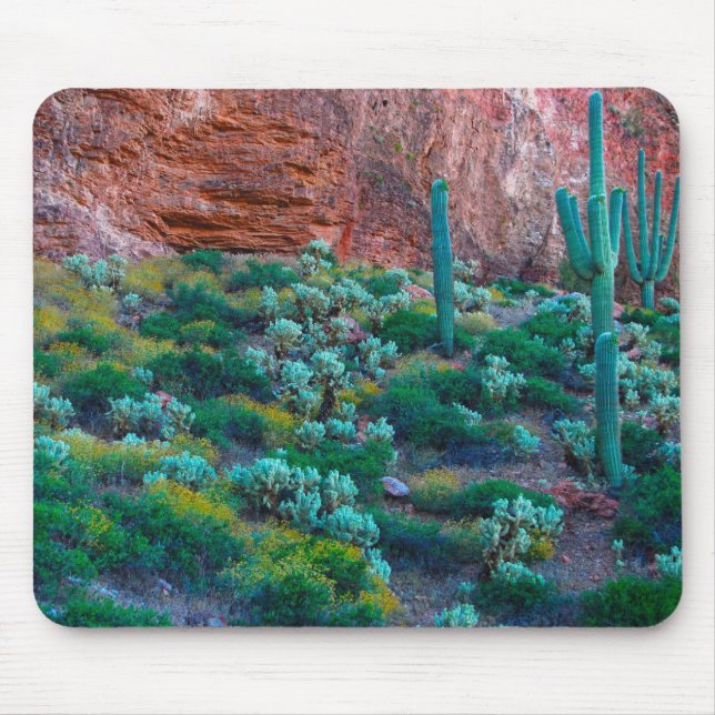 Alfombrilla De Ratón EE.UU., Arizona. Flora del desierto (Frente)