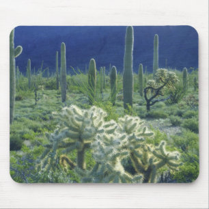 Alfombrilla De Ratón EE. UU., Arizona, Monumento Nacional del Cactus de