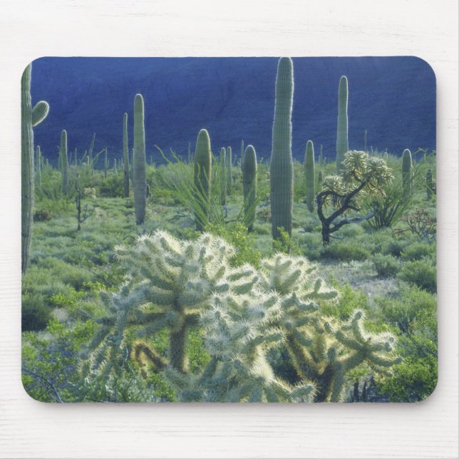 Alfombrilla De Ratón EE.UU., Arizona, Organ Pipe Cactus National (Frente)