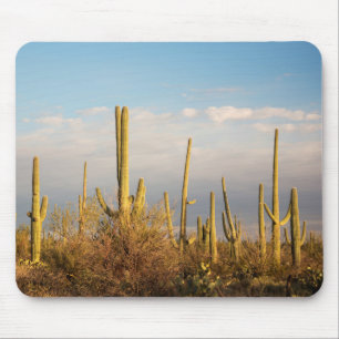 Alfombrilla De Ratón EE. UU., Arizona, Parque Nacional Saguaro, Saguaro