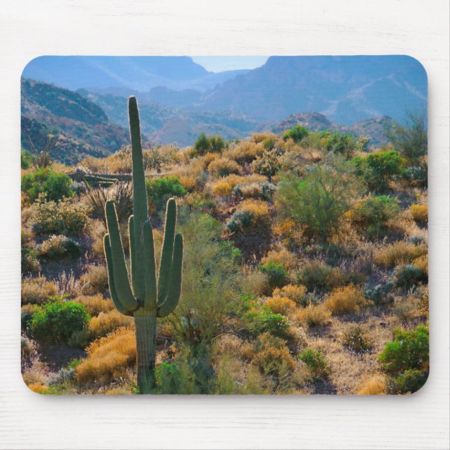 Alfombrilla De Ratón EE.UU., Arizona. Vista del desierto (Frente)