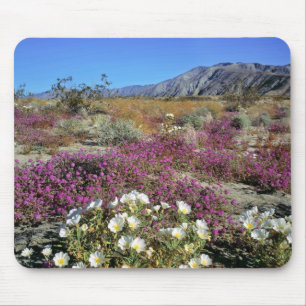 Alfombrilla De Ratón EE. UU., California, Anza-Borrego DSP. Duna al ata