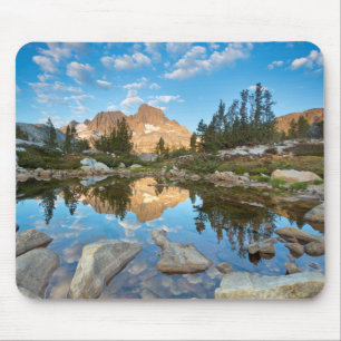 Alfombrilla De Ratón EE. UU., California, Bosque Nacional Inyo. 2