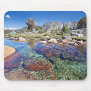 Alfombrilla De Ratón EE. UU., California, Bosque Nacional Inyo 4