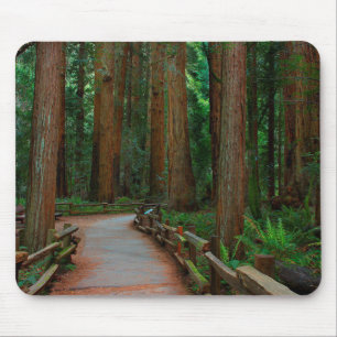 Alfombrilla De Ratón EE. UU., California. Camino entre secuoyas en Muir