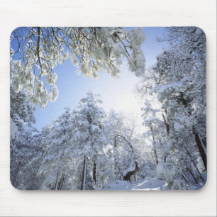 Alfombrilla De Ratón EE.UU., California, Cleveland National Forest,