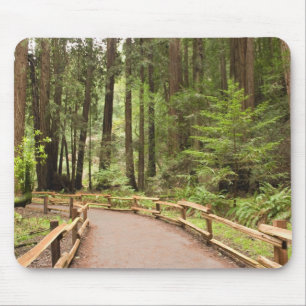 Alfombrilla De Ratón EE. UU., California, Condado de Marin, Muir Woods