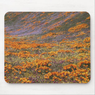 Alfombrilla De Ratón EE. UU., California, Montañas Tehachapi, 2