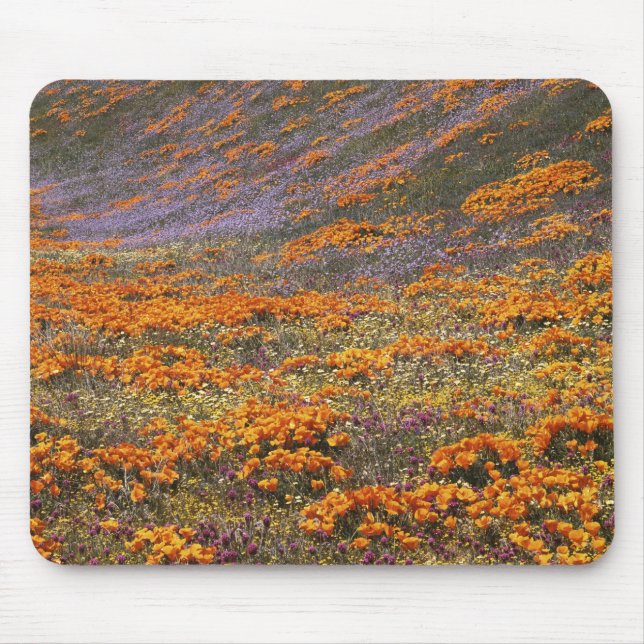 Alfombrilla De Ratón EE. UU., California, Montañas Tehachapi, 2 (Frente)