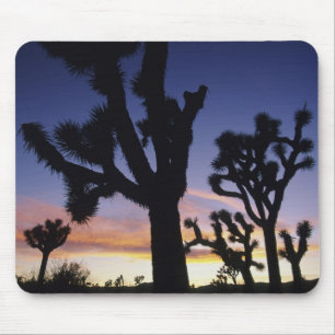 Alfombrilla De Ratón EE.UU., California, Parque Nacional Joshua Tree,