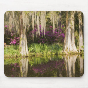 Alfombrilla De Ratón EE. UU., Carolina del Sur, Charleston. Cipreses