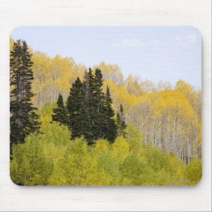 Alfombrilla De Ratón EE. UU., Colorado, Bosque Nacional Gunnison, a lo 