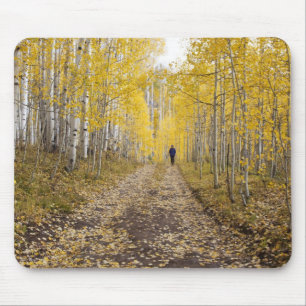 Alfombrilla De Ratón EE. UU., Colorado, Bosque Nacional Gunnison cerca