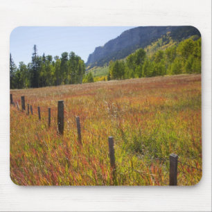 Alfombrilla De Ratón EE. UU., Colorado, Bosque Nacional San Juan, a lo 