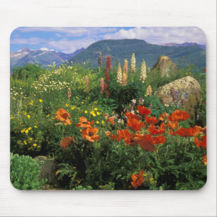 Alfombrilla De Ratón EE. UU., Colorado, Crested Butte. Amapolas y lupin