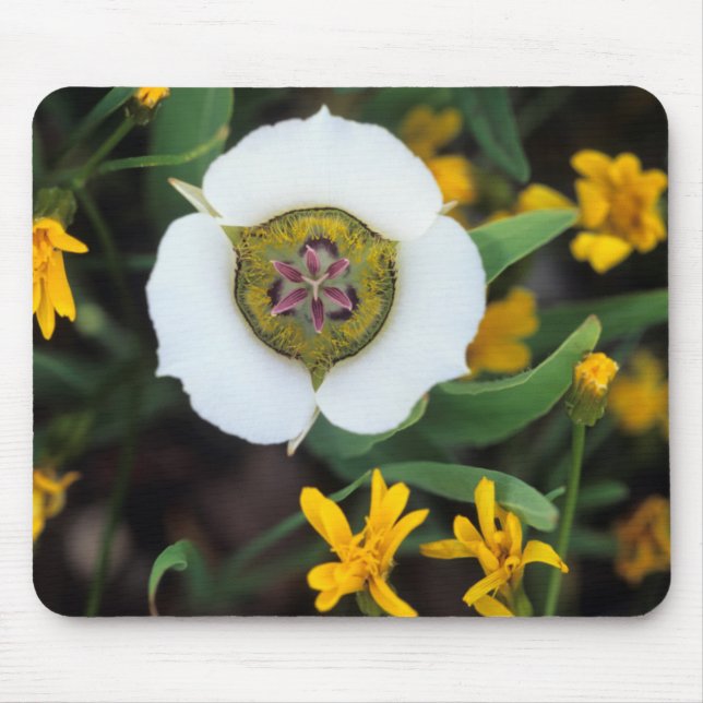 Alfombrilla De Ratón EE.UU., Colorado. Tuleta mariposa (Frente)