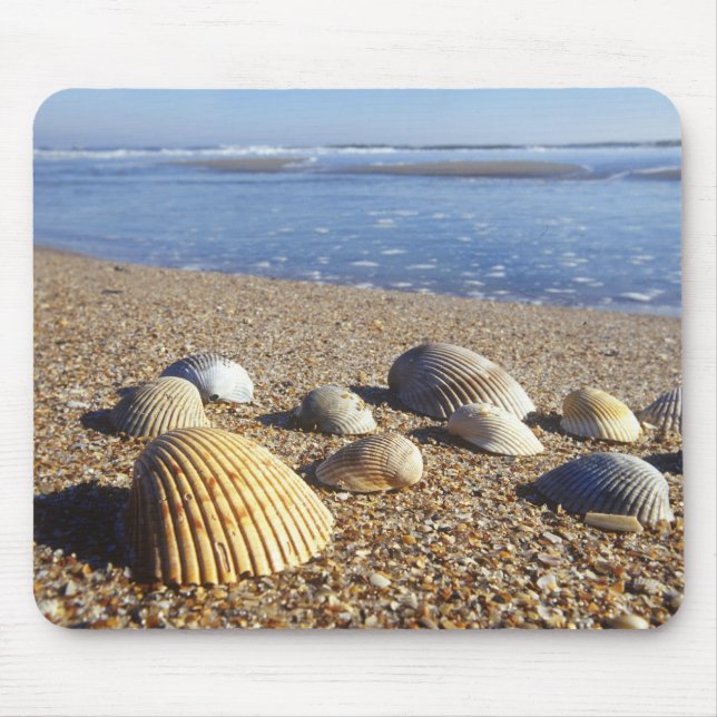 Alfombrilla De Ratón EE. UU., Florida, conchas marinas costeras (Frente)
