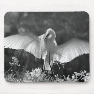Alfombrilla De Ratón EE. UU., Florida, Gran Garza Blanca (Ardea alba) i