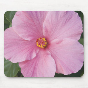 Alfombrilla De Ratón EE. UU., Florida, Sanibel, Hibisco Rosa de