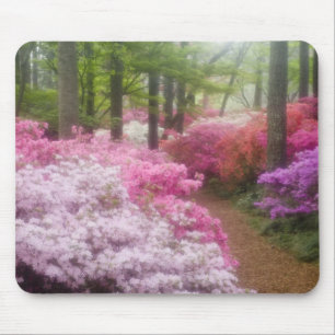 Alfombrilla De Ratón EE.UU.; Georgia; Montaña Pina. Azaleas