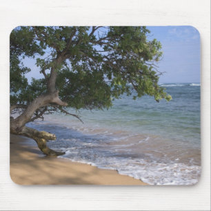 Alfombrilla De Ratón EE. UU., Hawái, Kauai, paisaje de playa. RF)