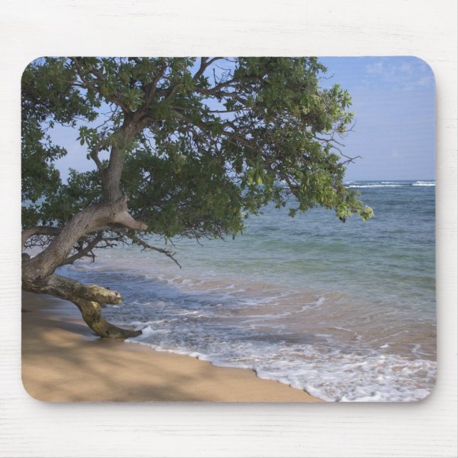 Alfombrilla De Ratón EE.UU., Hawaii, Kauai, paisaje de playa. RF) (Frente)
