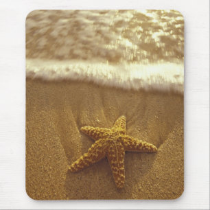 Alfombrilla De Ratón EE.UU., Hawaii, Maui, Maui, Kihei, Starfish y