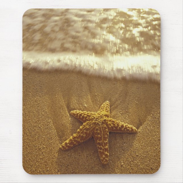 Alfombrilla De Ratón EE.UU., Hawaii, Maui, Maui, Kihei, Starfish y (Frente)