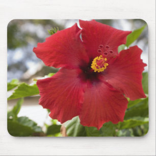 Alfombrilla De Ratón EE.UU., Hawaii, Oahu. El Hibiscus es el