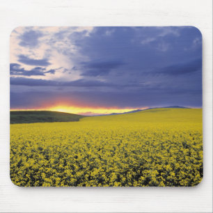 Alfombrilla De Ratón EE. UU., Idaho, Swan Valley. Una puesta de sol ard