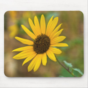 Alfombrilla De Ratón EE. UU., Kansas. Girasol silvestre