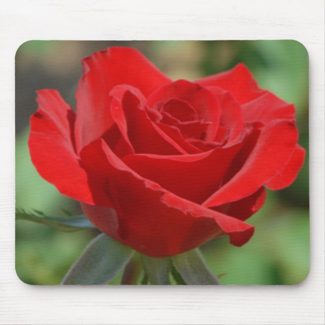 Alfombrilla De Ratón EE. UU., Kansas, Rosa Roja (Frente)