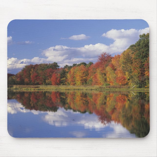 Alfombrilla De Ratón EE. UU., Massachusetts, Acton. Reflejo de otoño (Frente)
