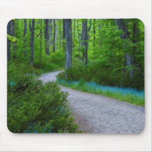 Alfombrilla De Ratón EE. UU., Michigan. Camino a través de los bosques