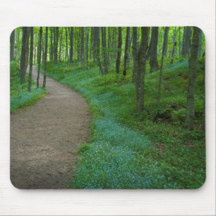 Alfombrilla De Ratón EE. UU., Michigan. Sendero Miner's Falls