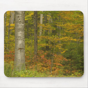 Alfombrilla De Ratón EE. UU., New Hampshire, Livermore, Montaña Blanca