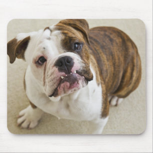 Alfombrilla De Ratón EE.UU., Nueva Jersey, Jersey City, retrato de lind